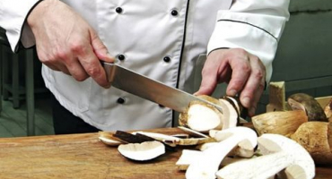 Jak správně zamrazit hříbky na zimu